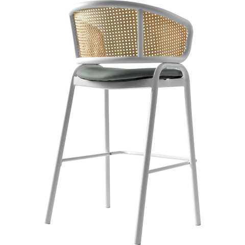 Ervilla Leather Bar Stool with Powder-Coated Stainless Steel Base and Curved Wicker Back Design