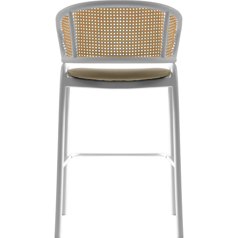 Ervilla Leather Bar Stool with Powder-Coated Stainless Steel Base and Curved Wicker Back Design