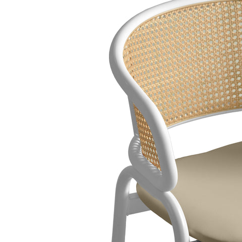 Ervilla Leather Bar Stool with Powder-Coated Stainless Steel Base and Curved Wicker Back Design