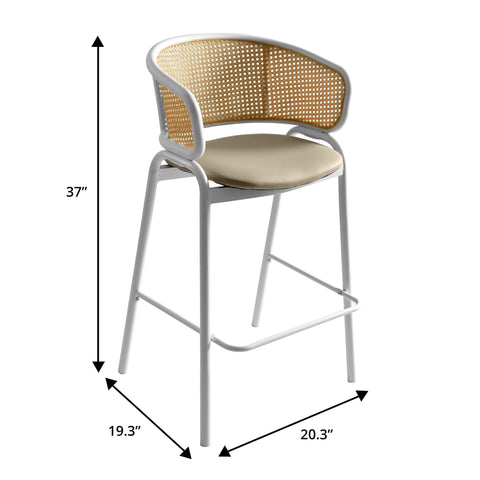 Ervilla Leather Bar Stool with Powder-Coated Stainless Steel Base and Curved Wicker Back Design