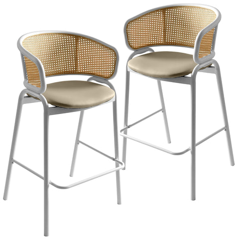 Ervilla Leather Bar Stool with Powder-Coated Stainless Steel Base and Curved Wicker Back Design