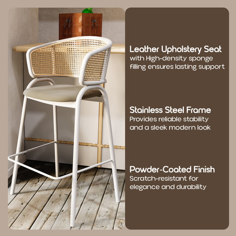 Ervilla Leather Bar Stool with Powder-Coated Stainless Steel Base and Curved Wicker Back Design