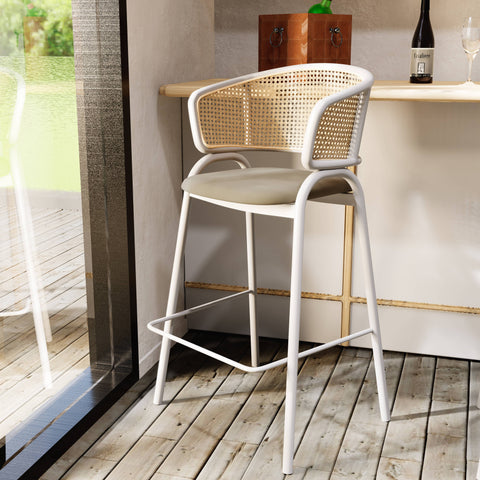 Ervilla Leather Bar Stool with Powder-Coated Stainless Steel Base and Curved Wicker Back Design