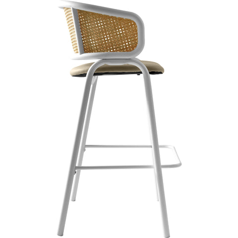 Ervilla Leather Bar Stool with Powder-Coated Stainless Steel Base and Curved Wicker Back Design