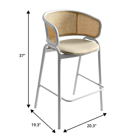 Ervilla Leather Bar Stool with Powder-Coated Stainless Steel Base and Curved Wicker Back Design