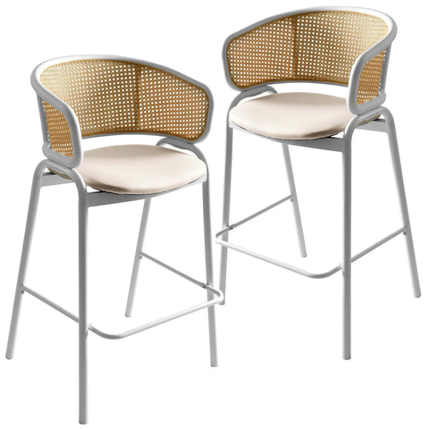 Ervilla Leather Bar Stool with Powder-Coated Stainless Steel Base and Curved Wicker Back Design