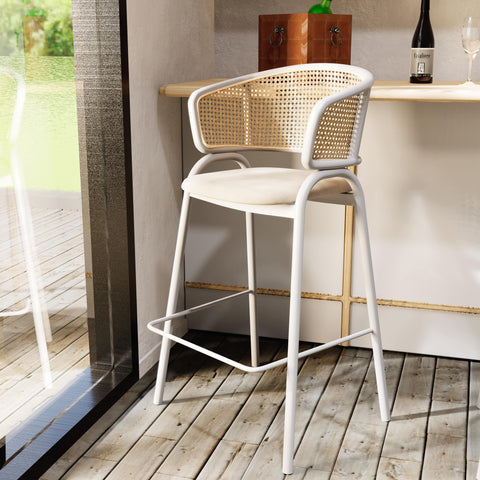 Ervilla Leather Bar Stool with Powder-Coated Stainless Steel Base and Curved Wicker Back Design