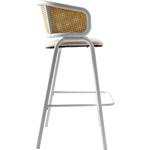 Ervilla Leather Bar Stool with Powder-Coated Stainless Steel Base and Curved Wicker Back Design