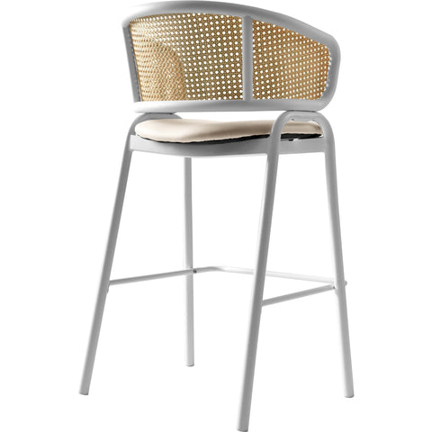 Ervilla Leather Bar Stool with Powder-Coated Stainless Steel Base and Curved Wicker Back Design