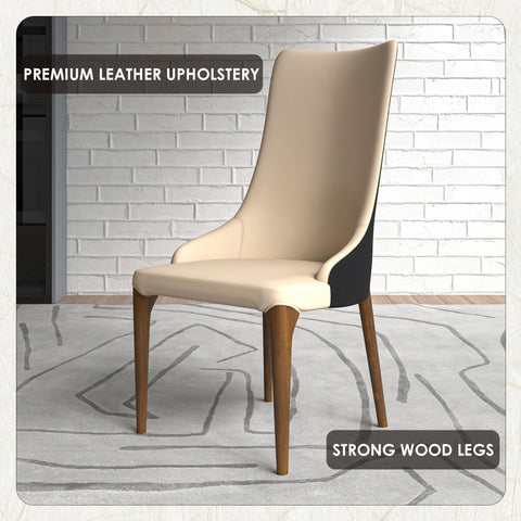 Elm Dining Chair with a Leather/Velvet Seat and a Two-Tone Color Design Backrest in Ash Wood