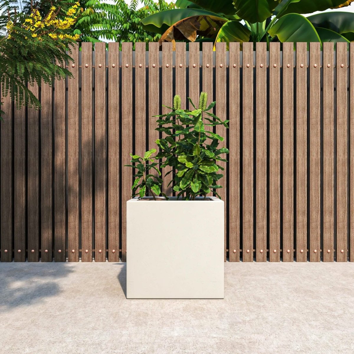 Fern Fiberstone and MGO Clay Mid - Century Modern Square Planter Pot for Indoor and Outdoor