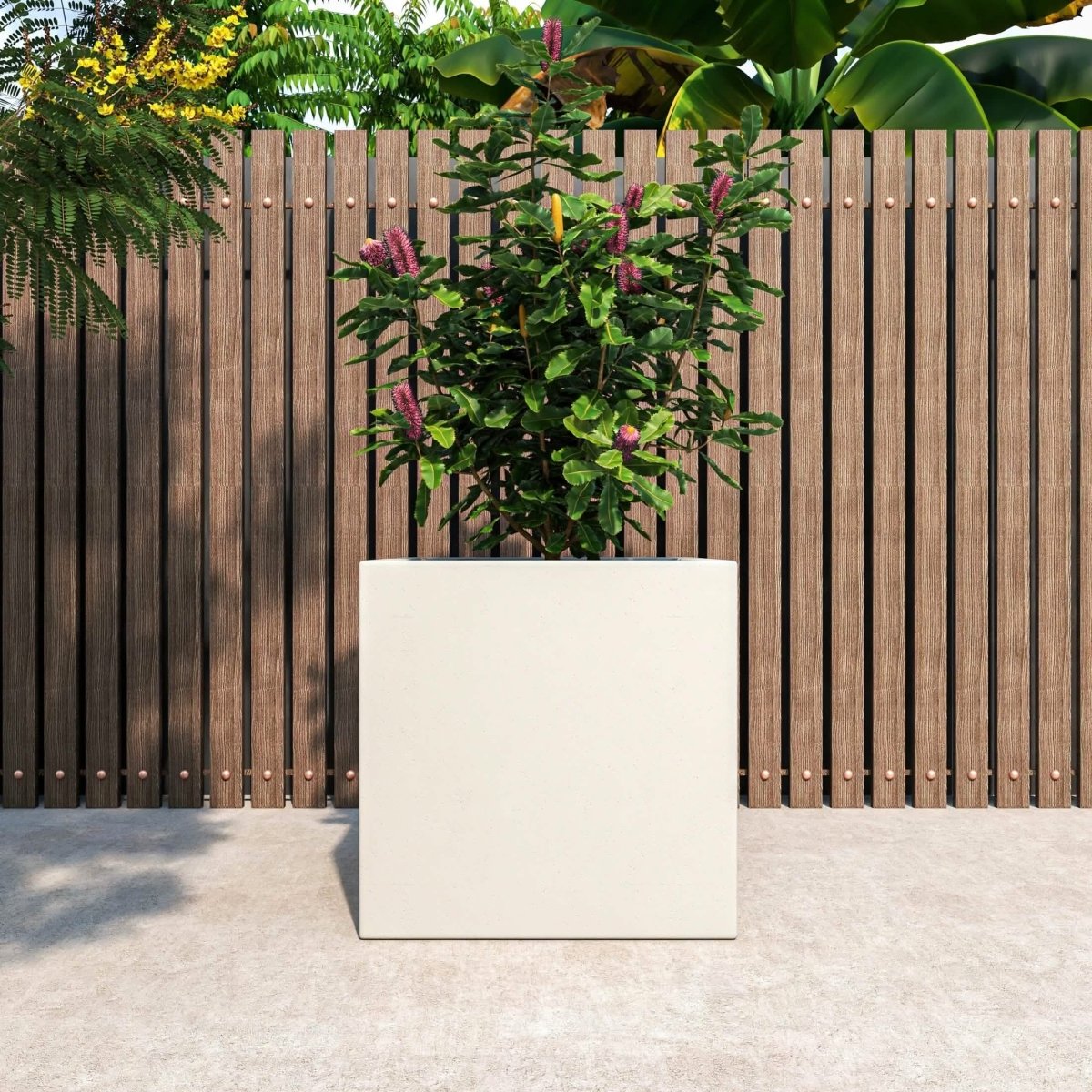 Fern Fiberstone and MGO Clay Mid - Century Modern Square Planter Pot for Indoor and Outdoor