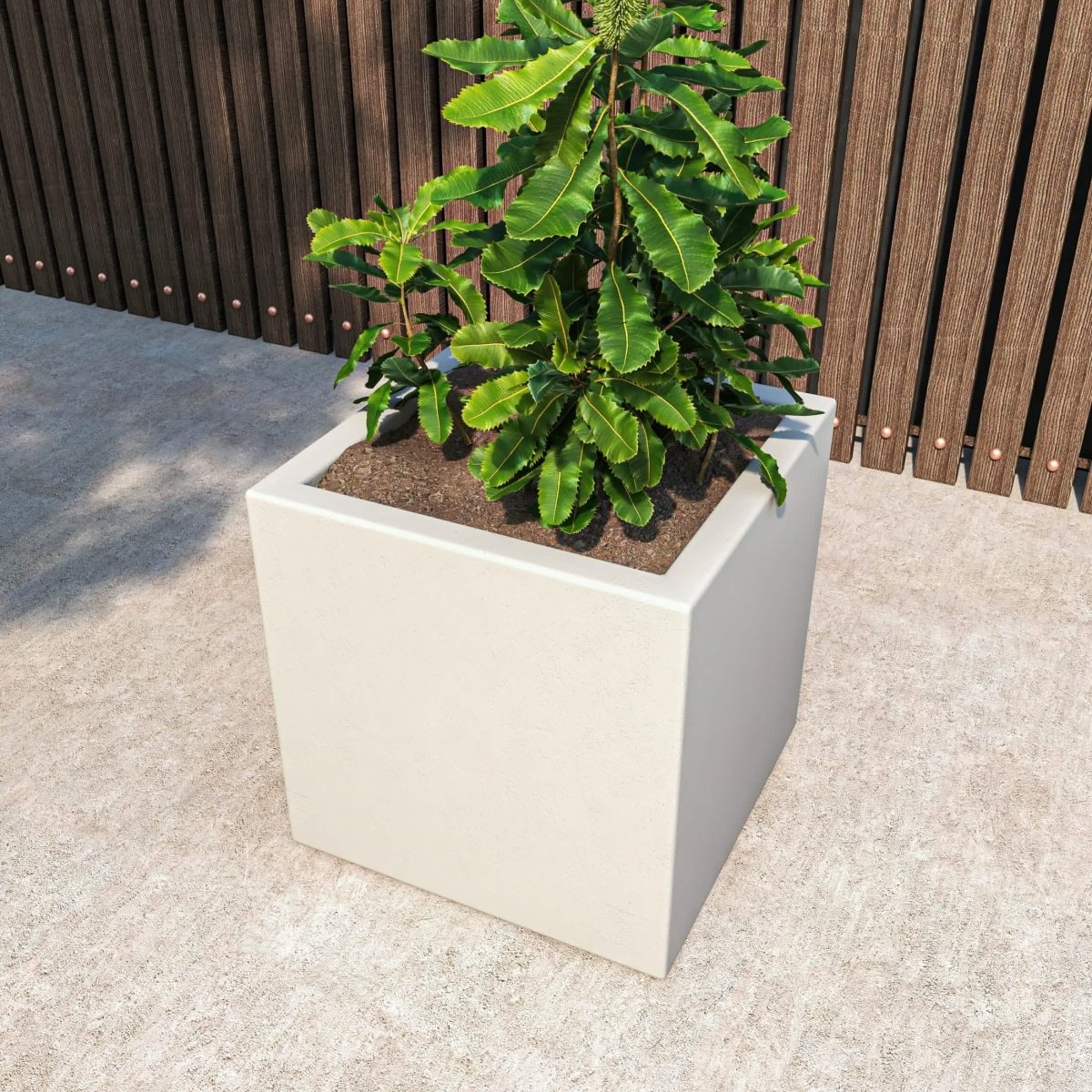 Fern Fiberstone and MGO Clay Mid - Century Modern Square Planter Pot for Indoor and Outdoor