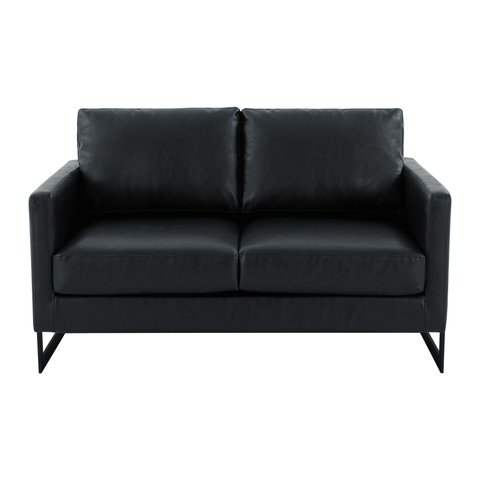 Lincoln Leather Loveseat Sofa with Black Stainless Steel Frame