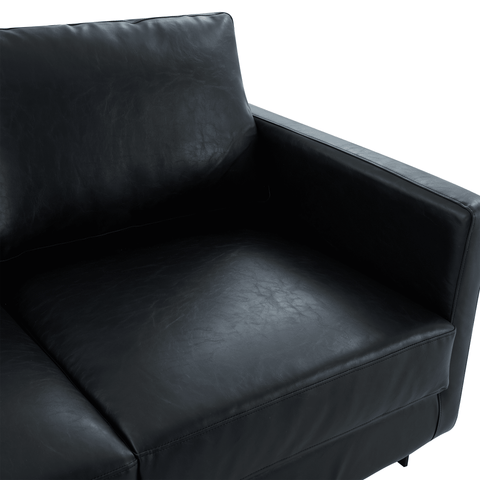 Lincoln Leather Loveseat Sofa with Black Stainless Steel Frame