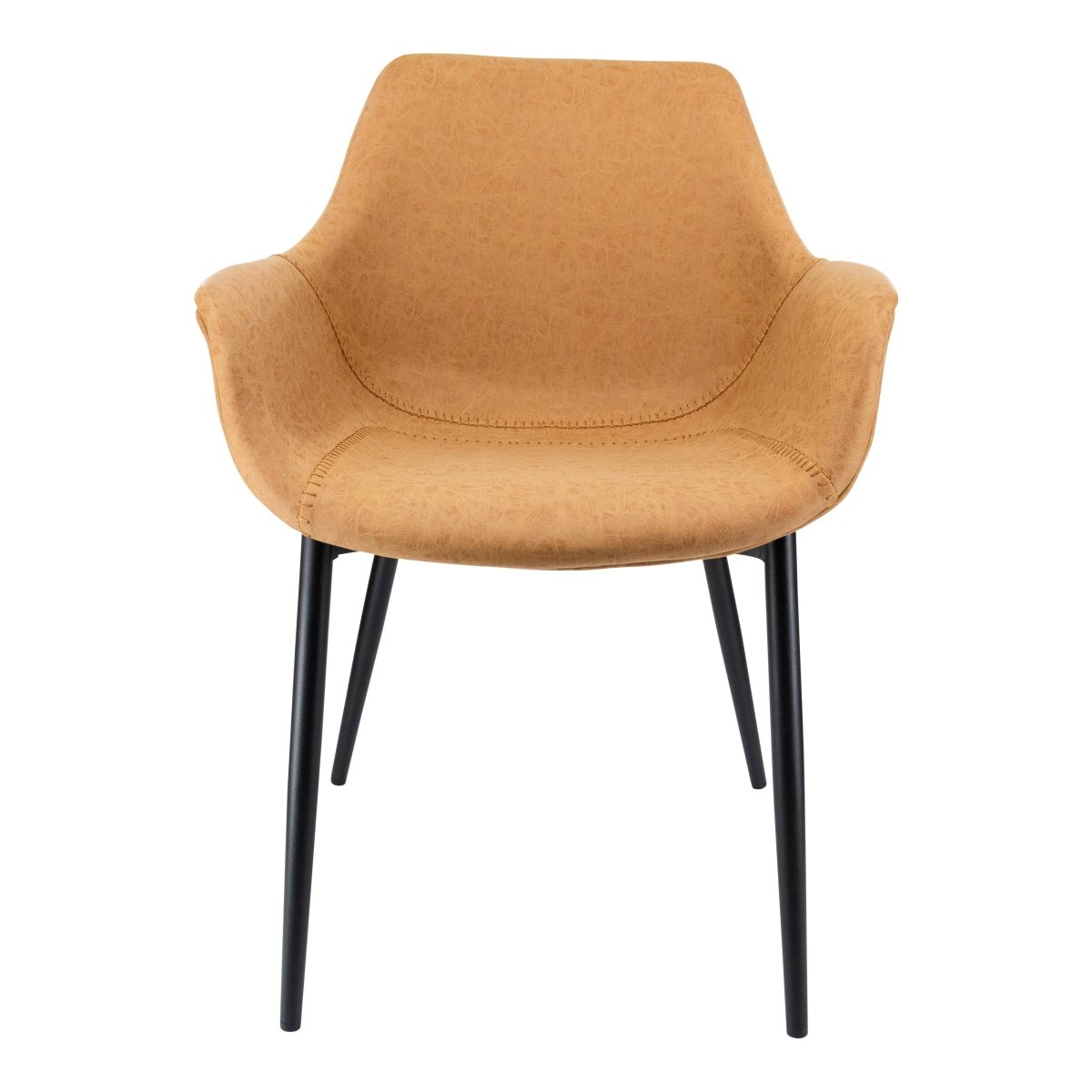 Markley Modern Leather Dining Arm Chair With Black/Gold Metal Legs