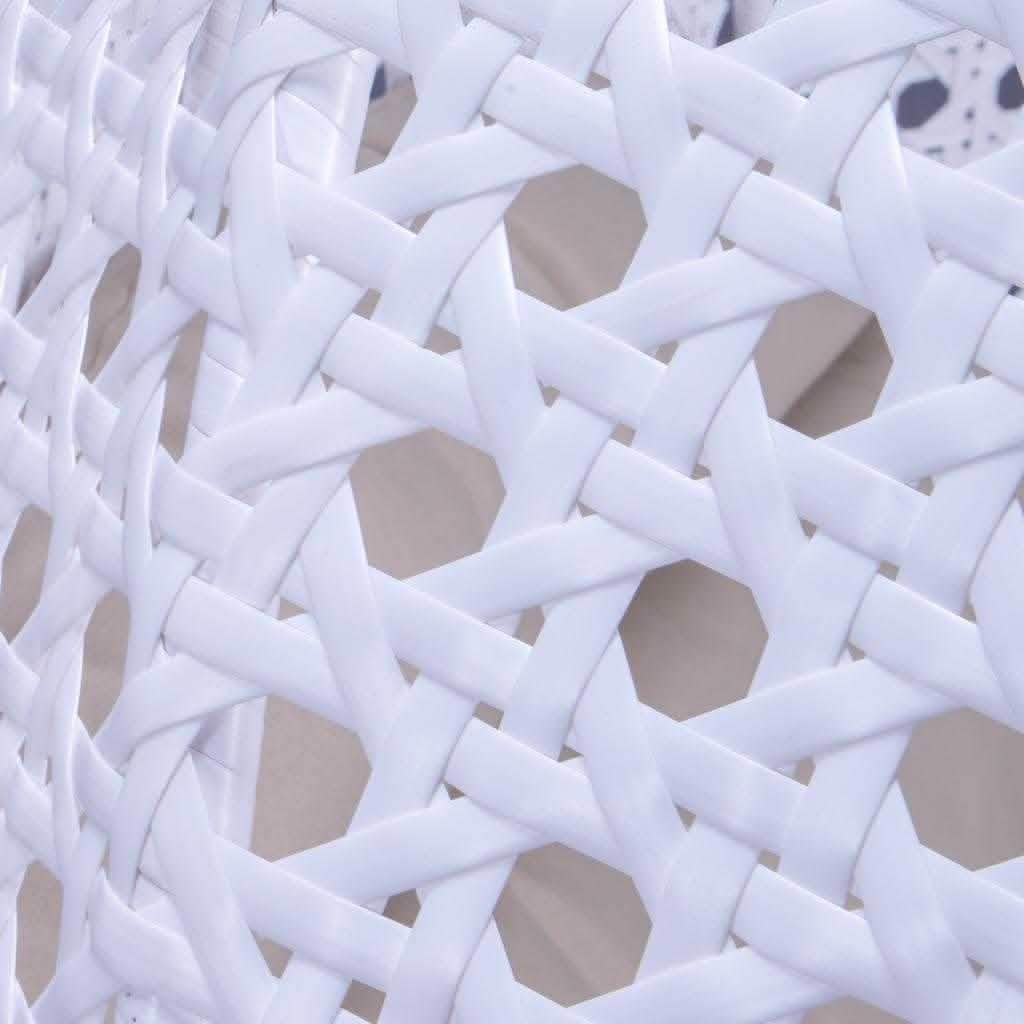 Modern Wicker Hanging Double Seater Egg Swing Chair