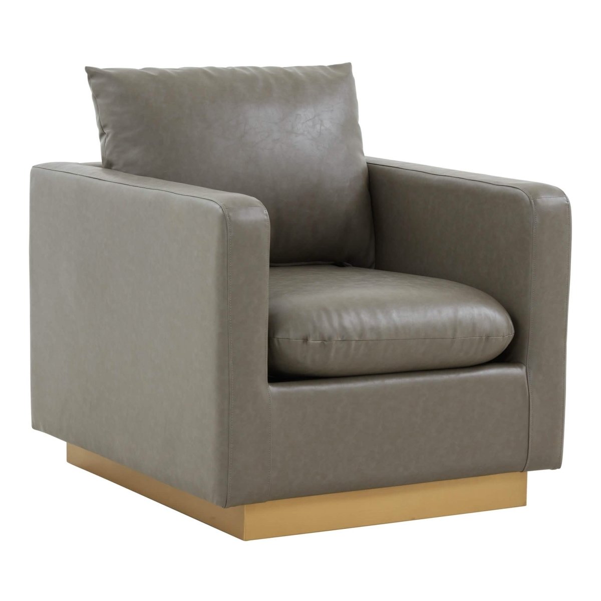 Nervo Modern Mid - Century Upholstered Velvet/Leather Accent Chair with Gold Base