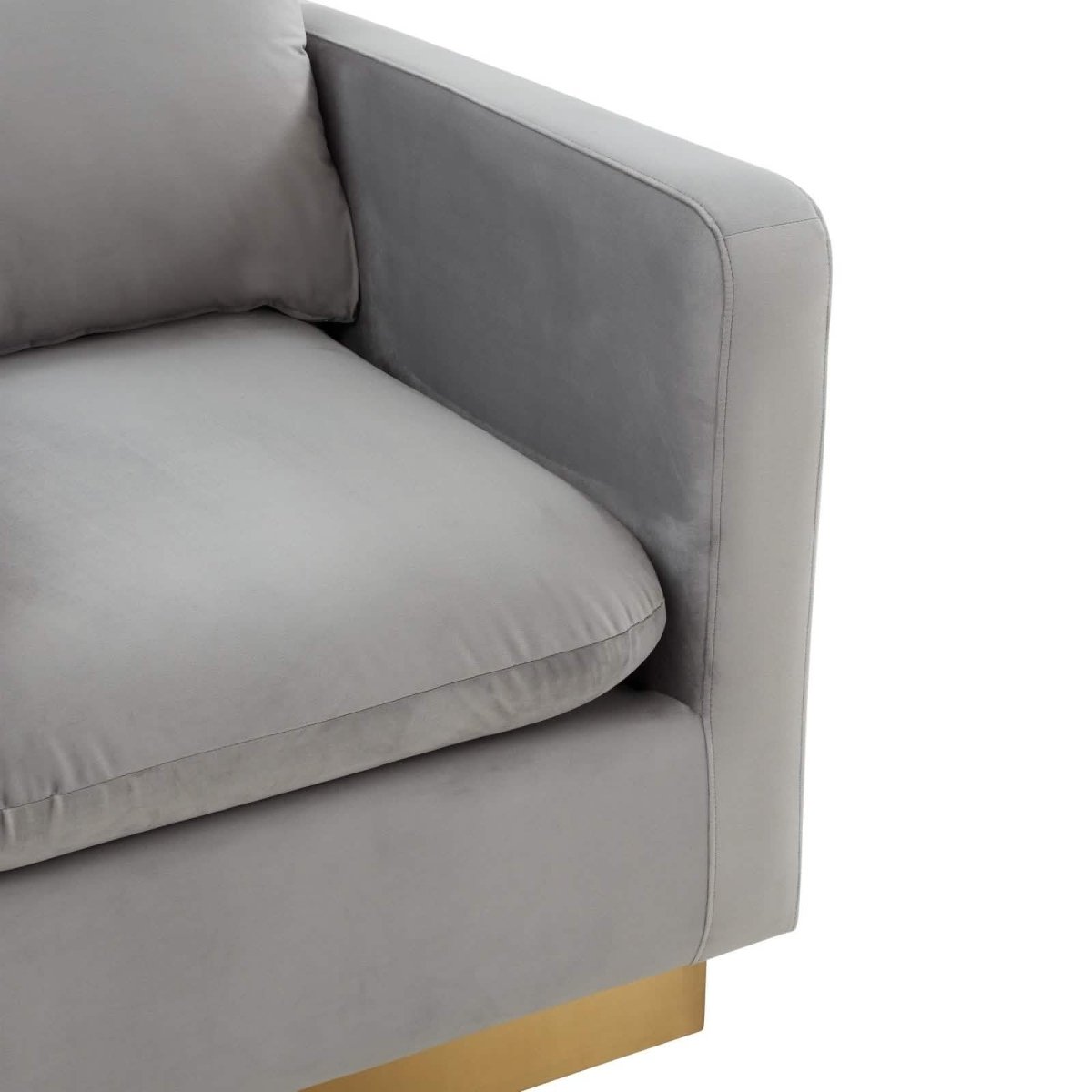 Nervo Modern Mid - Century Upholstered Velvet/Leather Accent Chair with Gold Base