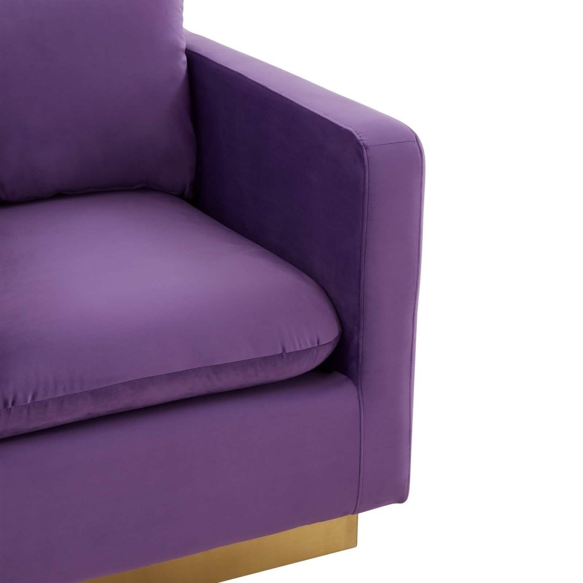 Nervo Modern Mid - Century Upholstered Velvet/Leather Accent Chair with Gold Base