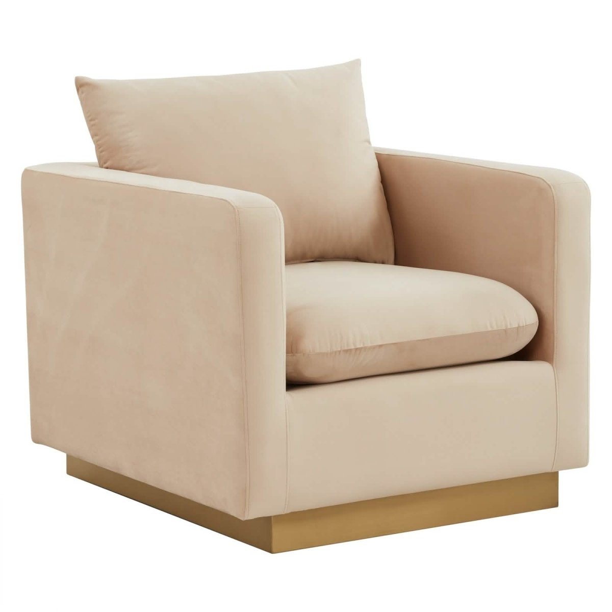 Nervo Modern Mid - Century Upholstered Velvet/Leather Accent Chair with Gold Base