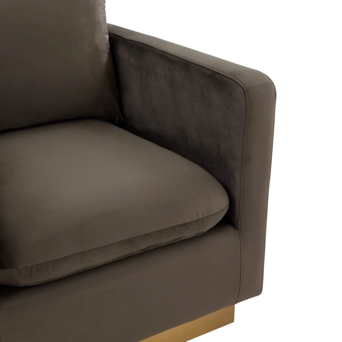 Nervo Modern Mid - Century Upholstered Velvet/Leather Accent Chair with Gold Base