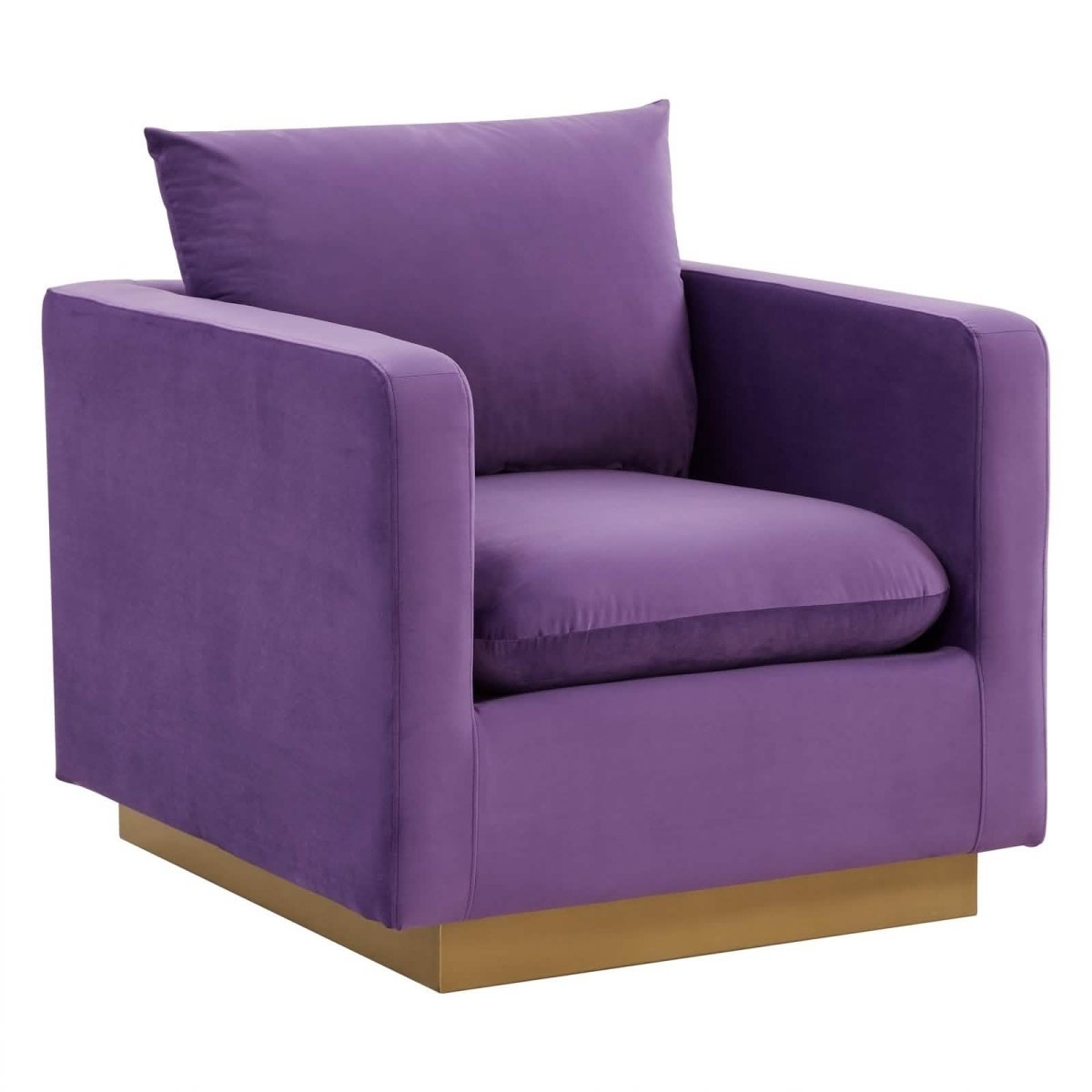 Nervo Modern Mid - Century Upholstered Velvet/Leather Accent Chair with Gold Base