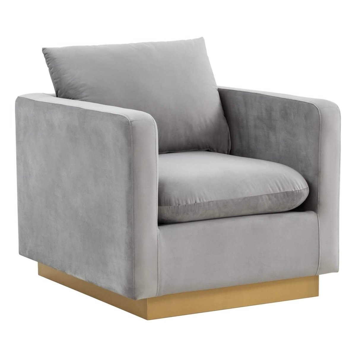 Nervo Modern Mid - Century Upholstered Velvet/Leather Accent Chair with Gold Base
