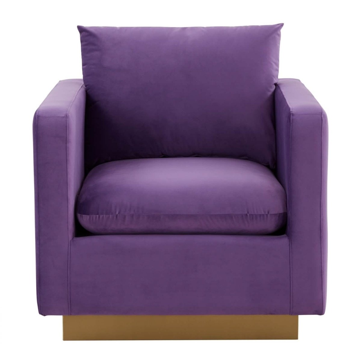 Nervo Modern Mid - Century Upholstered Velvet/Leather Accent Chair with Gold Base