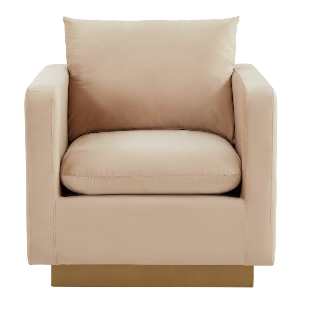 Nervo Modern Mid - Century Upholstered Velvet/Leather Accent Chair with Gold Base