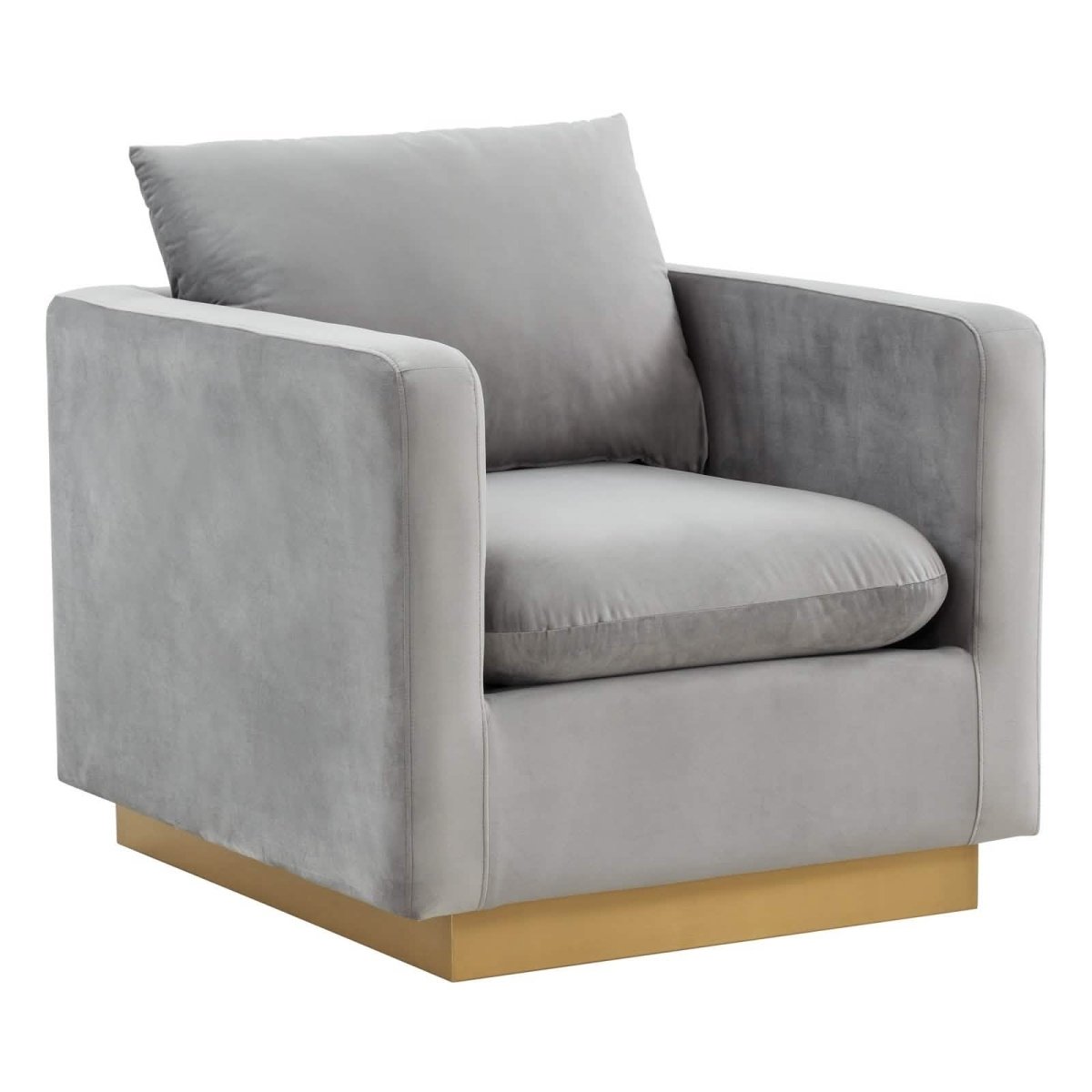 Nervo Modern Mid - Century Upholstered Velvet/Leather Accent Chair with Gold Base