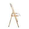 Menno Modern Acrylic Folding Chair