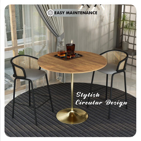 Verve Bar Height Dining Table with Round MDF, Sintered Stone, or Resin Top & Gold Stainless Steel Base