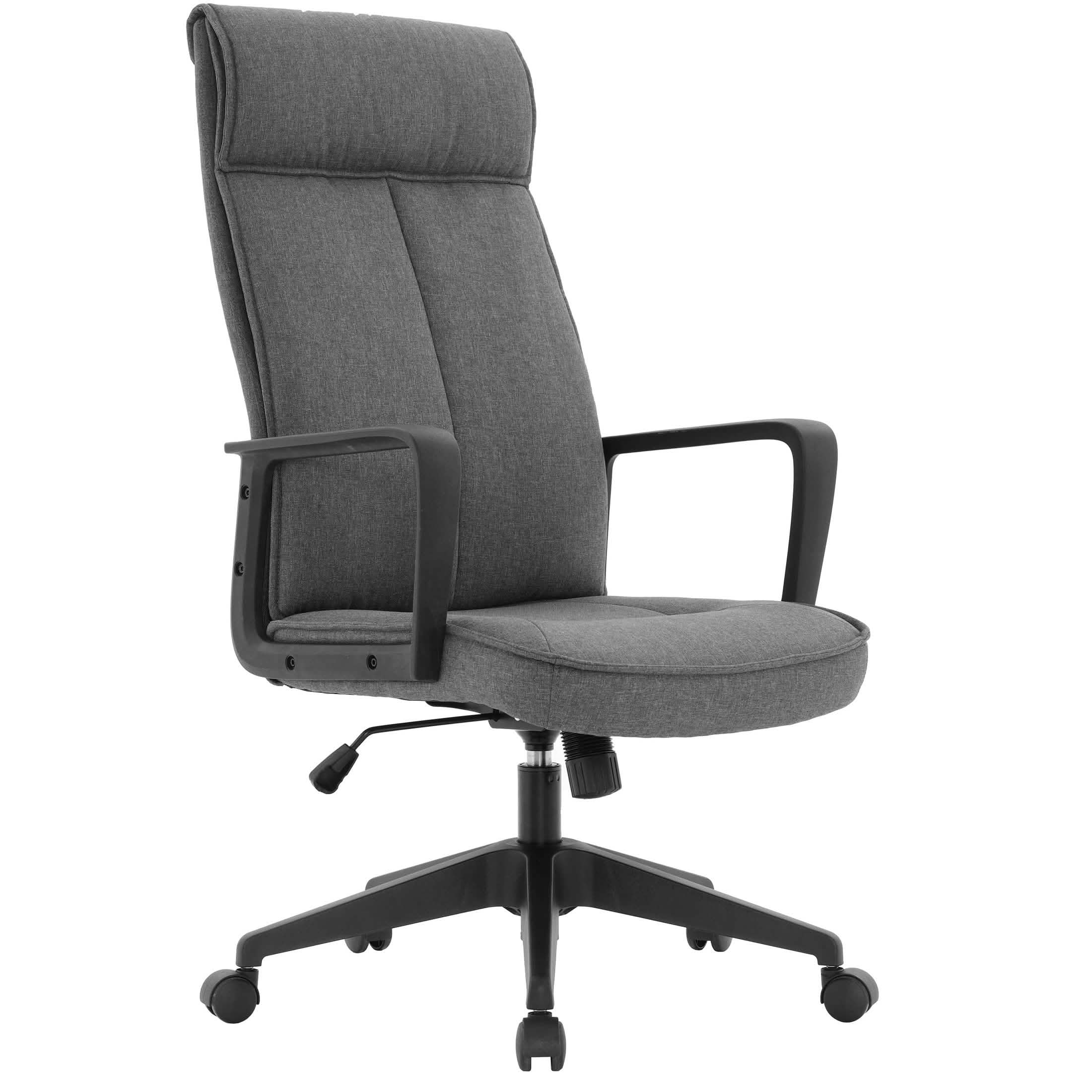 Aiaria Ergonomic High-Back Leather Office Chair with Adjustable Height, Swivel, Tilt, and Double Wheel Casters Charcoal Office Chair Your Vendor Name